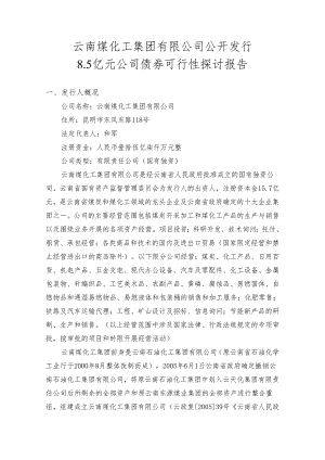 4、发行公司债券可行性研究报告汇总.docx