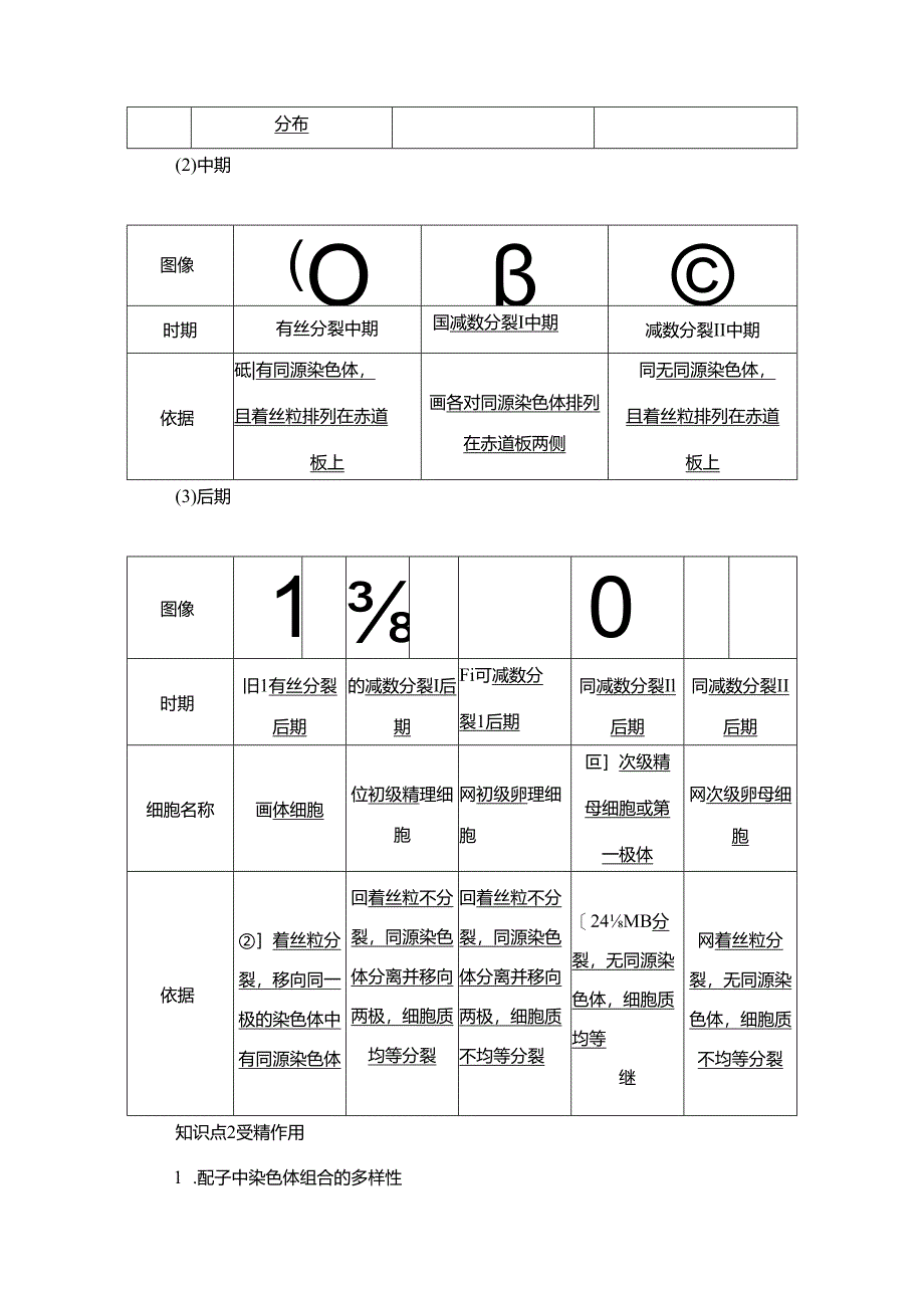 2023-2024学年 人教版 必修二 细胞分裂图像判定、受精作用 学案.docx_第3页