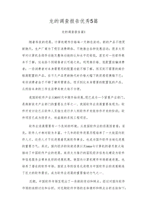 龙的调查报告优秀5篇.docx