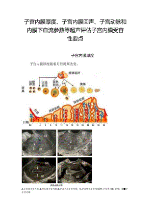 临床子宫内膜厚度、子宫内膜回声、子宫动脉和内膜下血流参数等超声评估子宫内膜受容性要点.docx