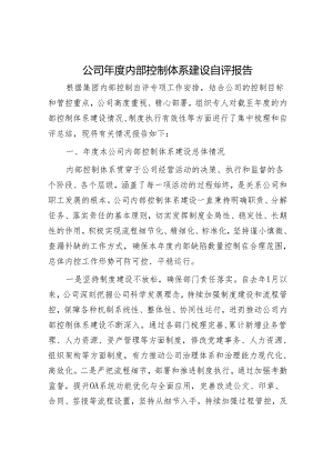 公司年度内部控制体系建设自评报告.docx