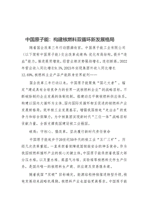 中国原子能：构建核燃料双循环新发展格局.docx