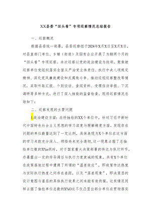 XX县委“回头看”专项巡察情况总结报告.docx