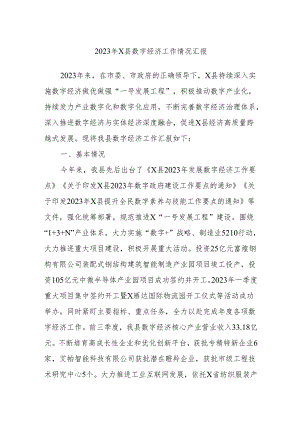 2023年X县数字经济工作情况汇报.docx
