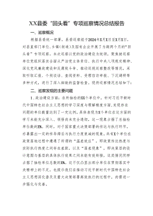 XX县委“回头看”专项巡察情况总结报告.docx