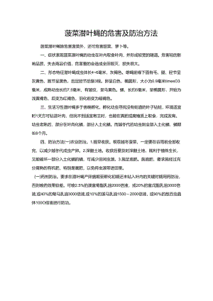 菠菜潜叶蝇的危害及防治方法.docx