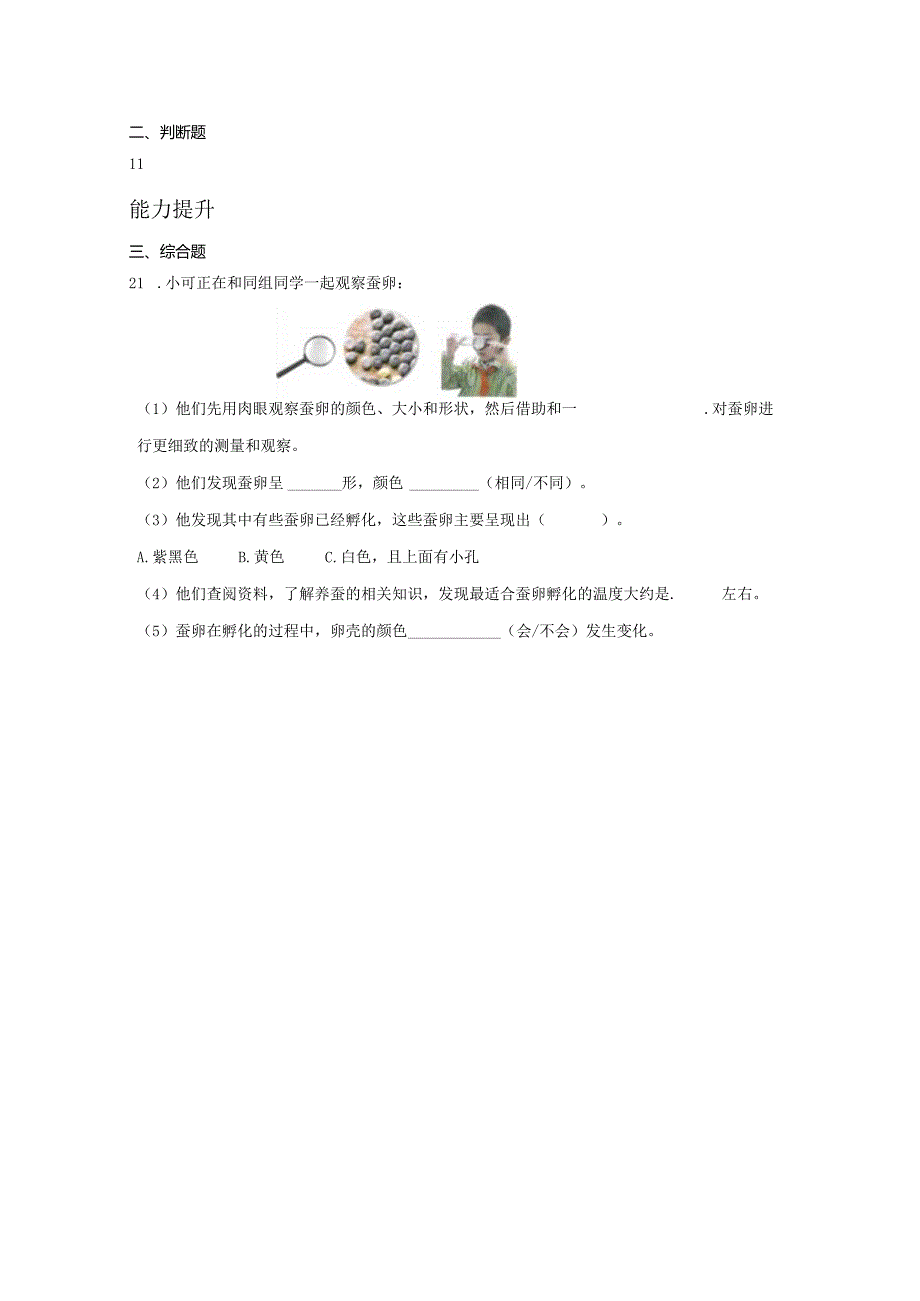 2-1 迎接蚕宝宝的到来(分层练习)-三年级科学下册(教科版).docx_第3页