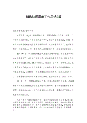 销售助理季度工作总结2篇.docx