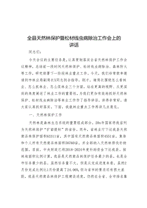 全县天然林保护暨松材线虫病除治工作会上的讲话&拓展全球数字贸易新空间.docx