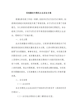 巡视整改专题民主生活会方案.docx