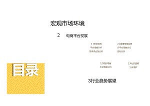 2024年电商发展报告.docx