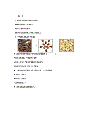 苏教版科学三年级下册全册单元分层测试卷.docx