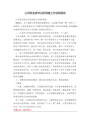 公司党支部书记抓党建工作述职报告.docx