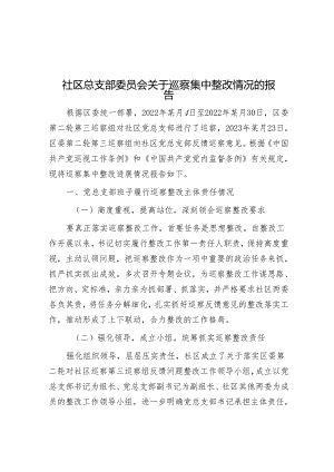 社区总支部委员会关于巡察集中整改情况的报告&在某集团党委第一轮巡察组巡察集团党委工作动员会上的讲话.docx