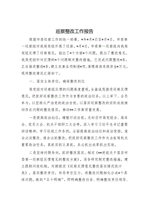 巡察整改工作报告&在巡察整改“回头看”专项检查整改大会上的讲话.docx