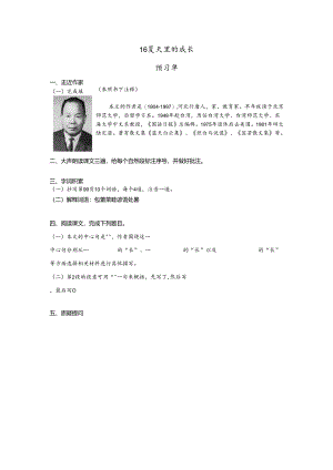 16《夏天里的成长》预习单＋作业单.docx