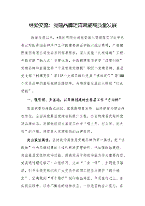 经验做法：党建品牌矩阵赋能高质量发展.docx