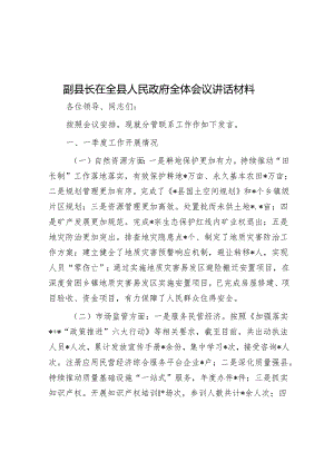 在县政府全体会议上的讲话（副县长）.docx