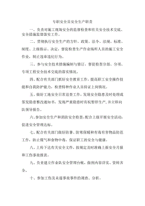 专职安全员安全生产职责.docx