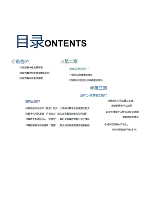 城市数字化发展指数(2024).docx