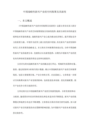 中国战略性新兴产业的空间集聚及其演变.docx