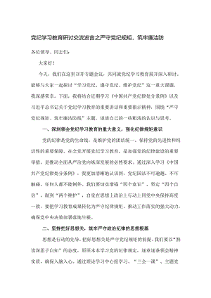 党纪学习教育研讨交流发言之严守党纪规矩筑牢廉洁防.docx
