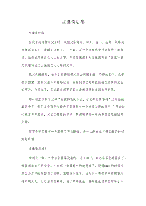 皮囊读后感.docx