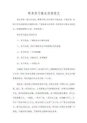 财务实习就业总结范文.docx