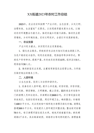 XX街道2023年农村工作总结.docx