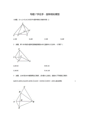 专题17_手拉手-旋转相似模型（含解析）.docx