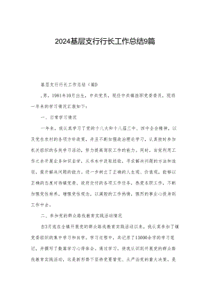 2024基层支行行长工作总结9篇.docx
