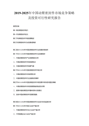 2019-2025年中国动臂密封件市场竞争策略及投资可行性研究报告.docx