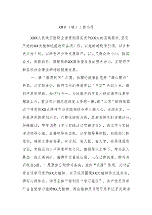 XX乡（镇）工作小结.docx