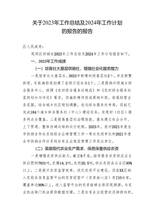关于2023年工作总结及2024年工作计划 的报告的报告.docx