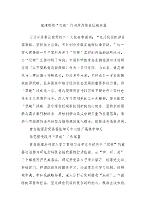 党建引领“双碳”行动 助力绿色低碳发展.docx