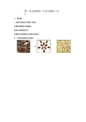 苏教版科学三年级下册全册单元分层测试卷.docx