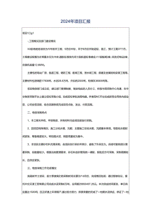 2024年项目汇报.docx