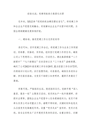 经验交流：党建领航助力集团化运营.docx