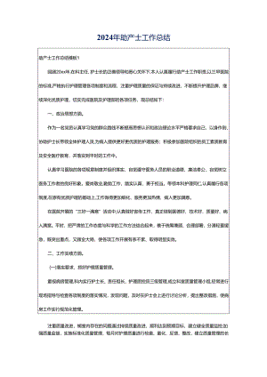 2024年助产士工作总结.docx