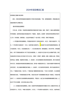 2024年项目情况汇报.docx