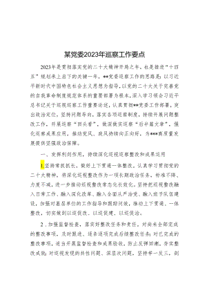 某党委2023年巡察工作要点&在县粮食购销系统机动式巡察反馈意见整改专题民主生活会发言提纲.docx
