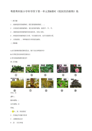 小学科学粤教粤科版四年级下册《校园里的植物》练习（含答案）.docx