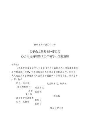 办公用房清理整改工作领导小组.docx