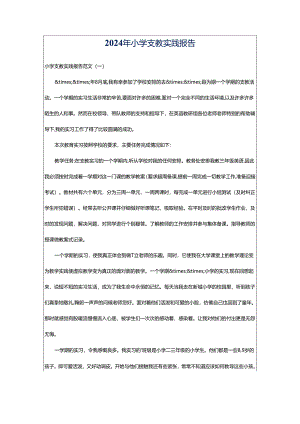 2024年小学支教实践报告.docx