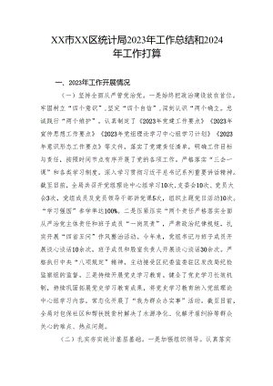XX市XX区统计局2023年工作总结和2024年工作打算.docx
