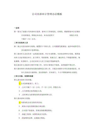 ____公司内部审计管理办法模板.docx