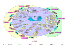 3-章鱼图和乌龟图--过程清单--过程分析图汇总.docx