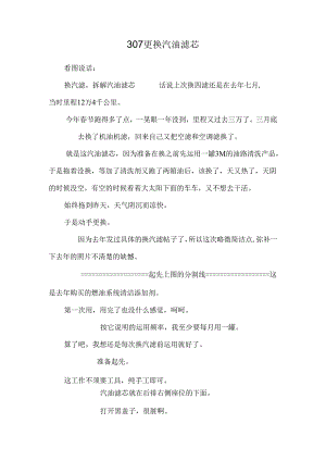 307更换汽油滤芯.docx