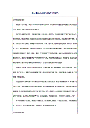 2024年小学环境调查报告.docx