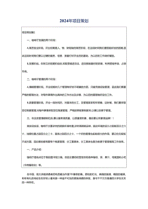 2024年项目策划.docx
